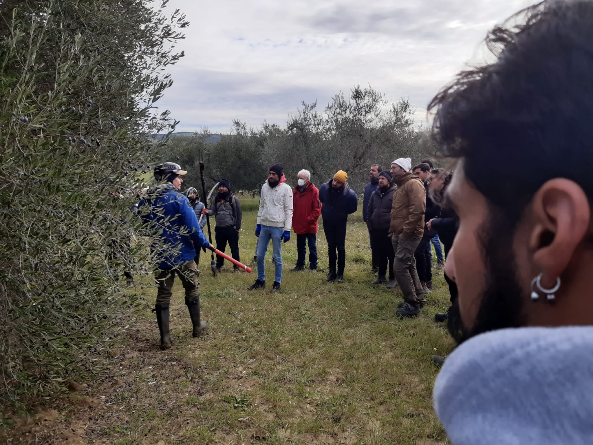 Un momento di lezione in campo intorno ad un olivo 