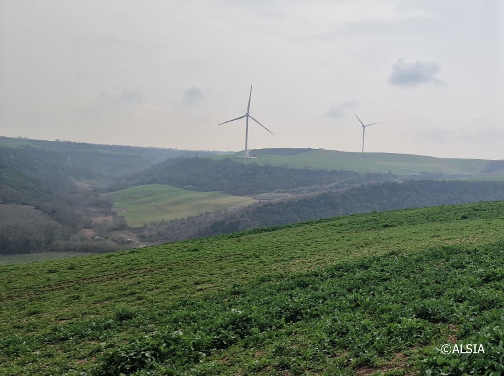 Panorama, Montemilone (PZ)
