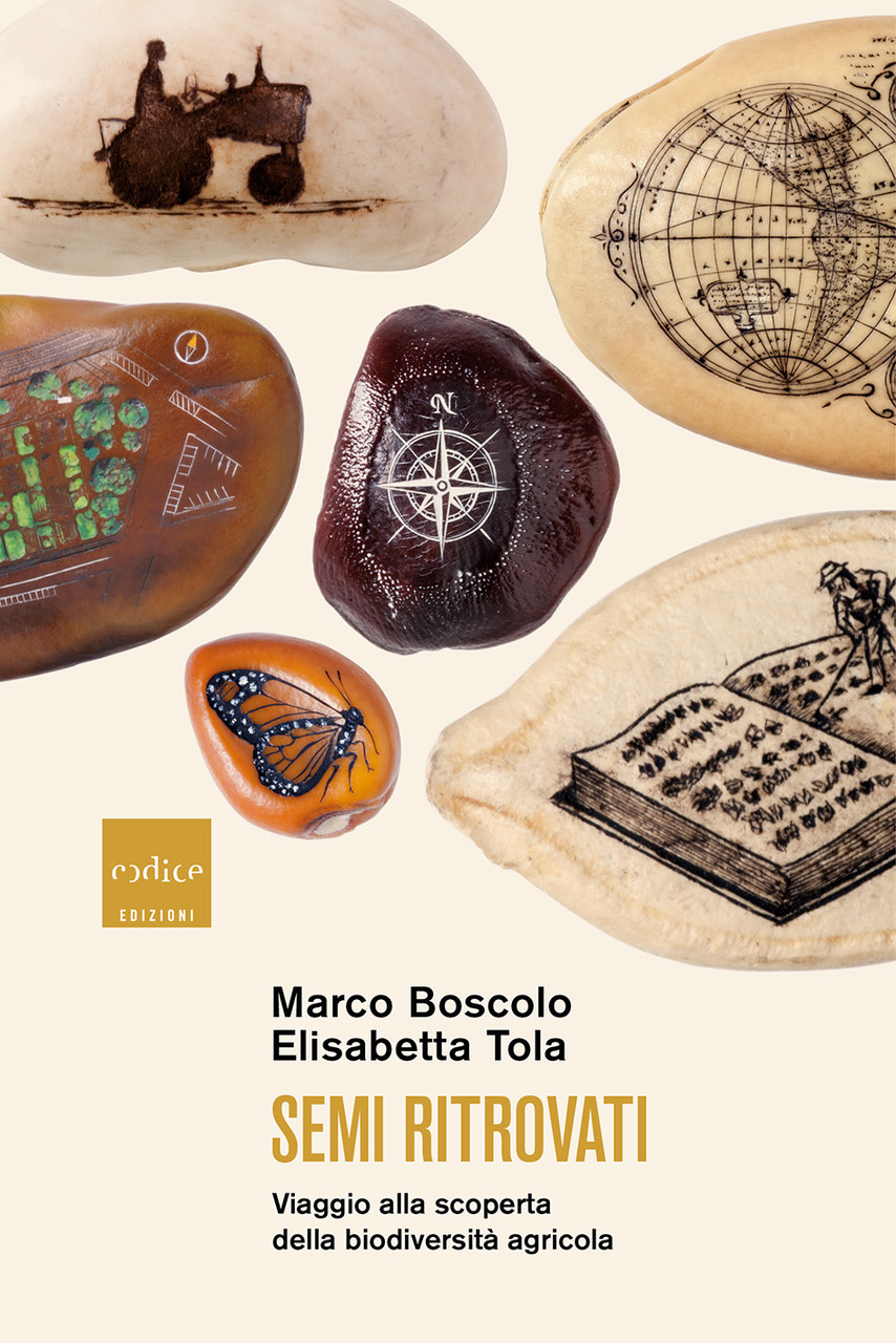 La copertina del libro scritto da Elisabetta Tola e Marco Boscolo edito da Codice edizioni 